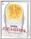Das Gehirn