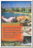 Die Arche, Nr. 35