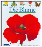Die Blume