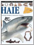 Haie