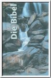 Schlachter 2000, Senfkornformat