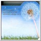Haftnotizblock Pusteblume