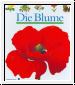 Die Blume