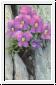 FK Blume/Felsen 
