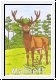 Wildtiere