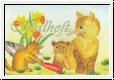 Katze